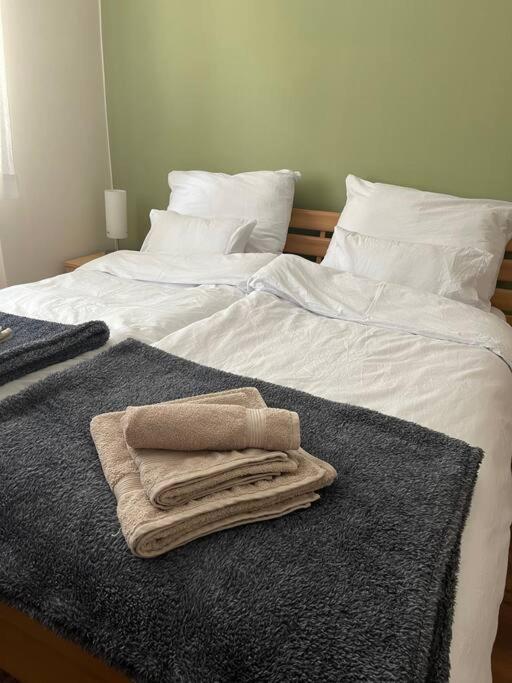Priestranny 3 Izb. Apartman V Centre S Parkovanim. バンスカー・ビストリツァ エクステリア 写真